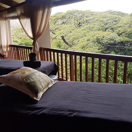 Honeywood Forest Lodge Port Shepstone Exteriér fotografie