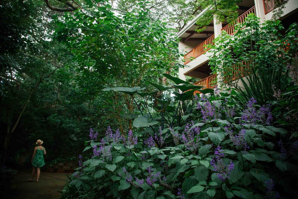 Honeywood Forest Lodge Port Shepstone Exteriér fotografie