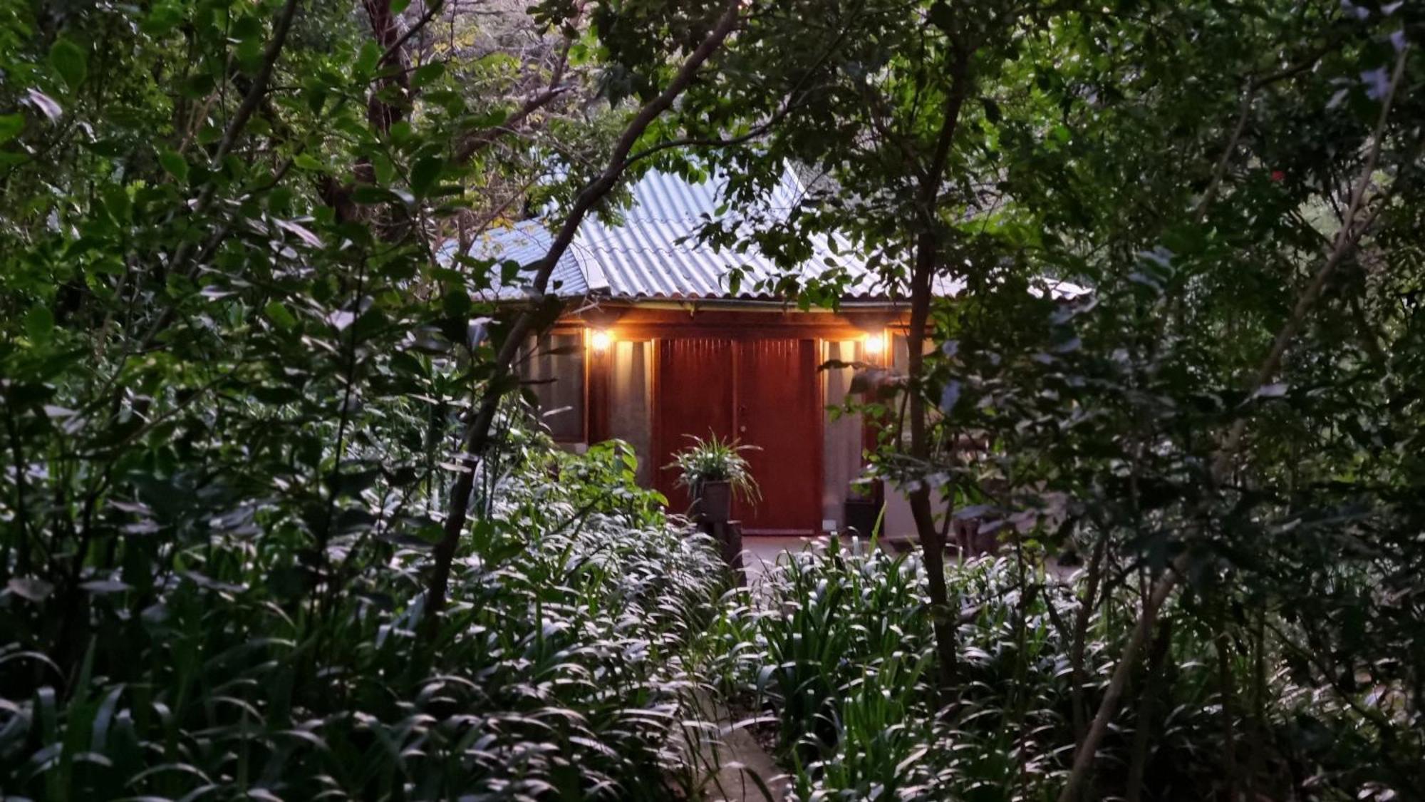 Honeywood Forest Lodge Port Shepstone Exteriér fotografie