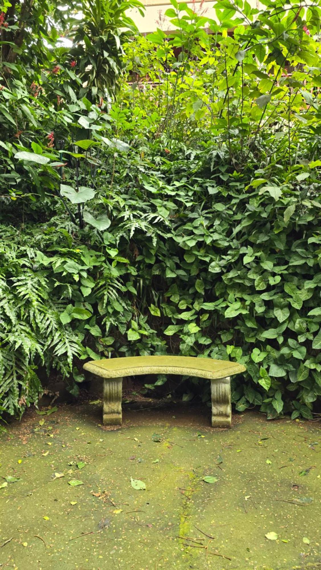 Honeywood Forest Lodge Port Shepstone Exteriér fotografie